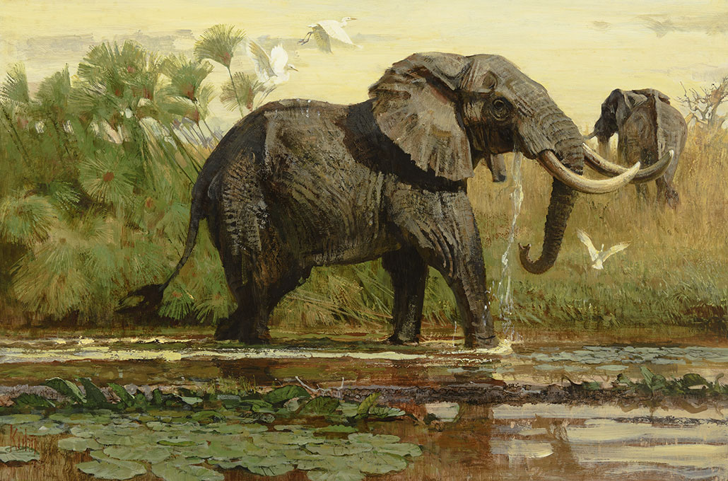 Bob Kuhn – Elephant in Papyrus